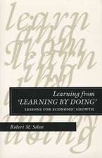 Learning from ‘Learning by Doing’: Lessons for Economic Growth