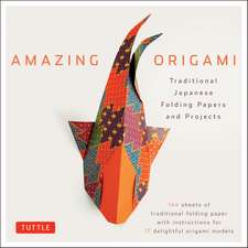 Amazing Origami Kit: Traditional Japanese Folding Papers and Projects [144 Origami Papers with Book, 17 Projects]