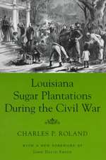 Louisiana Sugar Plantations During the Civil War