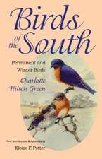 Birds of the South: Permanent and Winter Birds