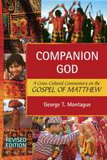 Companion God: A Cross-Cultural Commentary on the Gospel of Matthew