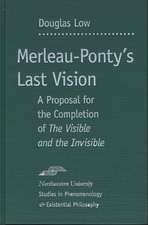 Merleau-Ponty's Last Vision: A Proposal for the Completion of 