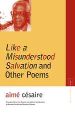 Like a Misunderstood Salvation and Other Poems