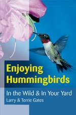 Enjoying Hummingbirds: In the Wild & in Your Yard