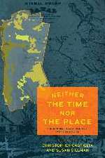 Neither the Time nor the Place – The New Nineteenth–Century American Studies