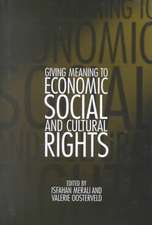 Giving Meaning to Economic, Social, and Cultural Rights