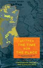 Neither the Time nor the Place – The New Nineteenth–Century American Studies