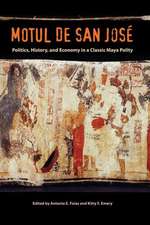 Motul de San Jose: Politics, History, and Economy in a Maya Polity