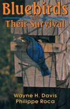 Bluebirds and Their Survival