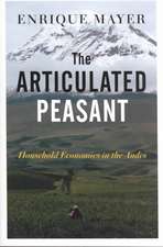 The Articulated Peasant: Household Economies In The Andes