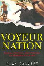 Voyeur Nation: Media, Privacy, And Peering In Modern Culture