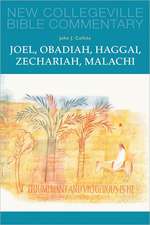 Joel, Obadiah, Haggai, Zechariah, Malachi: Volume 17