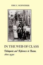 In the Web of Class – Delinquents and Reformers in Boston, 1810s–1930s