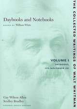 Daybooks and Notebooks: Volume I – Daybooks, 1876–November 1881