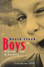 Boys: Stories and a Novella