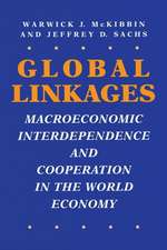 Global Linkages: Macroeconomic Interdependence and Cooperation in the World Economy