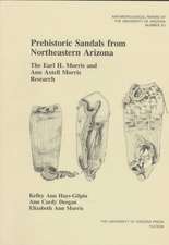 Prehistoric Sandals from Northeastern Arizona: The Earl H. Morris and Ann Axtell Morris Research