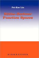 Köthe-Bochner Function Spaces