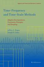 Time‒Frequency and Time‒Scale Methods