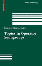 Topics in Operator Semigroups