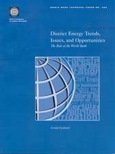 District Energy Trends, Issues, and Opportunities: The Role of the World Bank