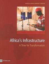 Africa's Infrastructure: A Time for Transformation