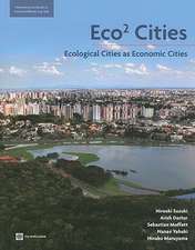 Eco2 Cities: Ecological Cities as Economic Cities