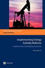 Implementing Energy Subsidy Reforms: Evidence from Developing Countries