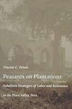 Peasants on Plantations – Subaltern Strategies of Labor and Resistance in the Pisco Valley, Peru