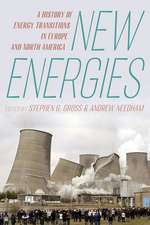 New Energies: A History of Energy Transitions in Europe and North America