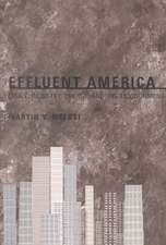 Effluent America