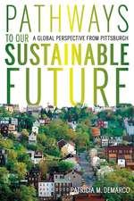 Pathways to Our Sustainable Future: A Global Perspective from Pittsburgh