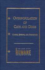 Overpopulation of Cats and Dogs – Causes, Effects and Preventions