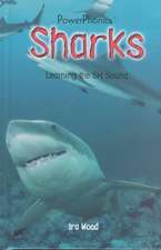Sharks: Learning the Sh Sound