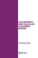 Holomorphy and Calculus in Normed SPates