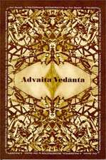 Advaita Vedanta a Philosophical Reconstruction