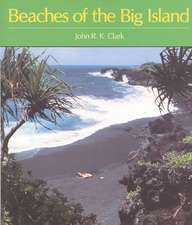 Clark: Beaches of the Big Island