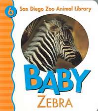 Baby Zebra San Diego Zoo: 100 Reflections on the Ways God's Love Keeps Us Growing [With Journal]