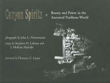 Canyon Spirits: Beauty and Power in the Ancestral Puebloan World