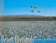 Desert Wetlands