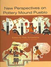 New Perspectives on Pottery Mound Pueblo