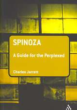 Spinoza: A Guide for the Perplexed