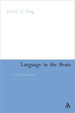 Language in the Brain: Critical Assessments