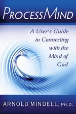 Processmind: A User's Guide to Connecting with the Mind of God