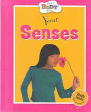 Your Senses