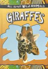 Giraffes