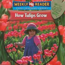 How Tulips Grow