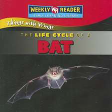 The Life Cycle of a Bat