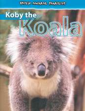 Koby the Koala