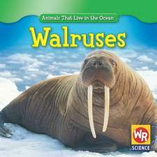 Walruses: Fracciones!